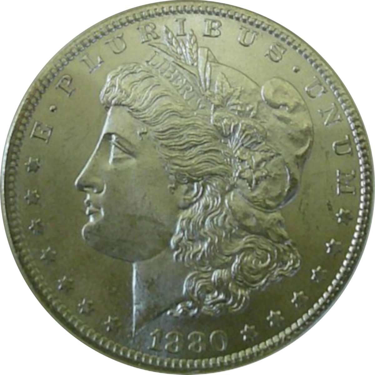 1880-S-$1-Morgan-Dollar-#19